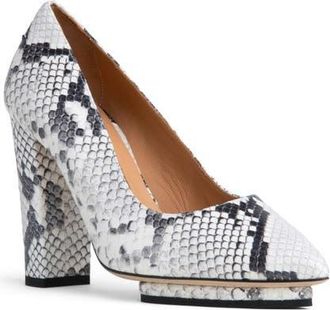 BEAUTIISOLES Pippa Pointed Toe Platform Pump in Python Snake at Nordstrom, Size 10.5Us