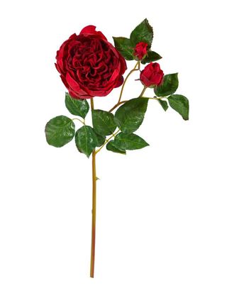 Nearly Natural Set Of 6 22In Rose Artificial Flower