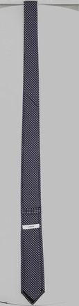 Lardini Silk Necktie - Blue
