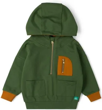 Little Green Radicals Kids Half Zip Organic Cotton Hoodie at Nordstrom, Size 12-18M