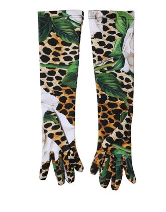 Dolce & Gabbana Multicolor Floral Leopard Elbow Length Women Womens Gloves