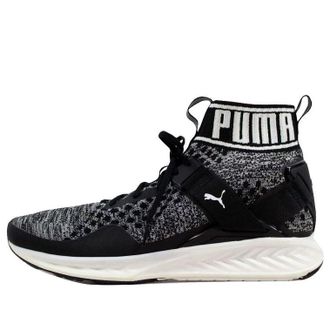 Puma Ignite evoKnit Black 189697-01