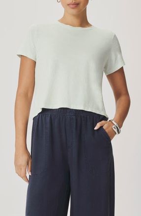 Splendid Louisa Short Sleeve T-Shirt in Light Mint Green at Nordstrom, Size X-Large