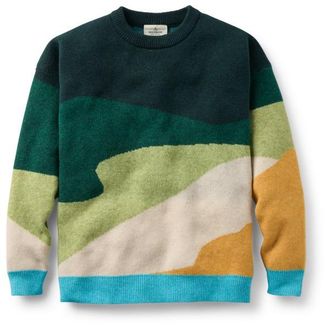 Passenger Scenic Recycled Knitted Jumper Pullover f&uuml;r Damen | bunt