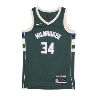 Nike Sportswear, male, Green, Size: 2XL Giannis Antetokounmpo NBA Icon Edition Jersey