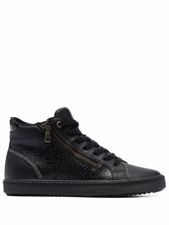 Geox High-top sneakers - Zwart