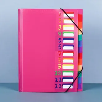 OEM 1 Carpeta Documentos A4, Carpeta Port&aacute;til Expandible 12 Compartimentos, Carpeta Organizadora Pl&aacute;stico Pp Banda El&aacute;stica, Impermeable, Rosa Rojo