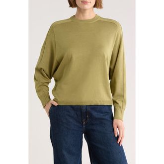 Adrianna Papell Dolman Sleeve Sweater in Moss Green at Nordstrom Rack, Size X-Large