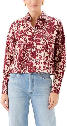 Fifteen Twenty Lena Floral Cotton Button-Up Shirt in Red Print at Nordstrom, Size Medium