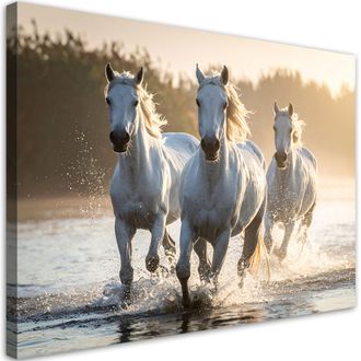 Feeby Cuadro Sobre Lienzo, Caballos Blancos Galopando En El Agua, 100x70
