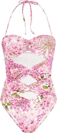 Giambattista Valli Saint-R&eacute;my cut-out swimsuit - women - Elastane/Nylon - 38 - Pink