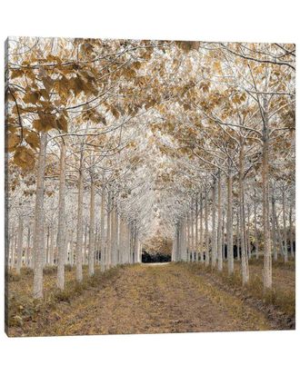 iCanvas Icanvas White Gold Wall Art