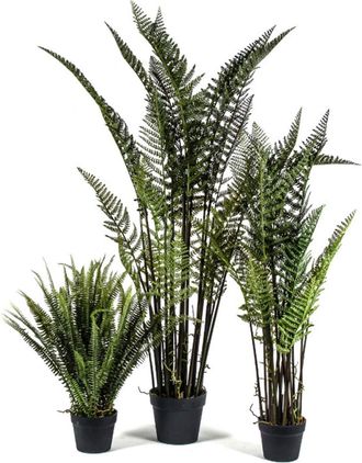 Schubiger M&ouml;bel Kunstpflanzen Lederfarn H: 116 cm