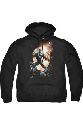 Gildan Batman Nightwing Against Owls Adult Pull Over Hoodie / Hooded Sweatshirt