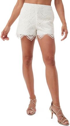 Trina Turk Lace Brightness Short in Whitewash at Nordstrom, Size 10