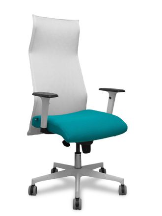 Piqueras y Crespo Silla De Oficina Piqueras Y Crespo 54br65g Blanco Turquesa
