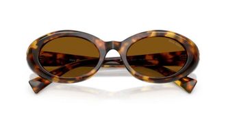 Miu Miu Womens Miu Sunglasses Brown Acetate
