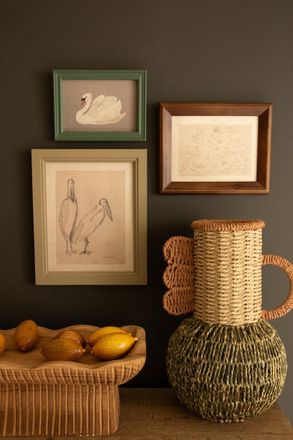 Kalalou Set Of Three Framed Birds Under Glass