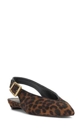 Vince Camuto Valther Genuine Calf Hair Pointed Toe Flat in Camel/Black at Nordstrom Rack, Size 7.5