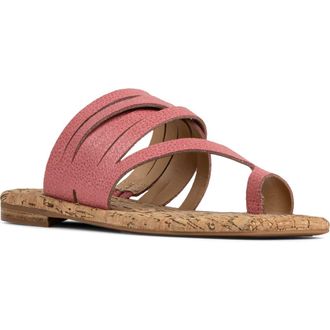Donald J Pliner Hazie Toe Loop Sandal in Pink at Nordstrom, Size 8.5
