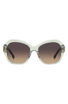 Kate Spade New York 55mm lottie butterfly sunglasses in Green at Nordstrom Rack