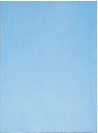 Max Mara Rivera Silk Chiffon Stole - Dames - Zijden sjaals - Blauw - ONE Size - Chiffon - Accessoires