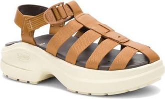 Chaco Cushform Fisherman Sandal in Cabin at Nordstrom, Size 10