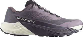 Salomon Salomon Pulsar Excalibur / Vanilla Ice / Nine Iron L47975500 Womens