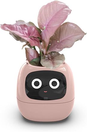 OEM Macetas Inteligentes, Maceta Inteligente Para Plantas De Interior, Con 49 Expresiones Enriquecidas, 7 Sensores Inteligentes, Chips De Inteligencia Art