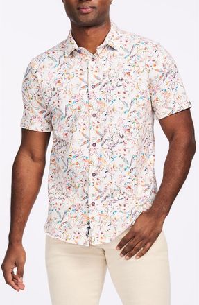 Robert Graham Wilmot Short Sleeve Cotton Button-Up Shirt in White at Nordstrom Rack, Size Xx-Large