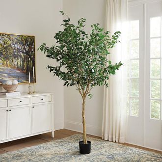Ballard Designs Faux Tall Ficus Tree - Ballard Designs