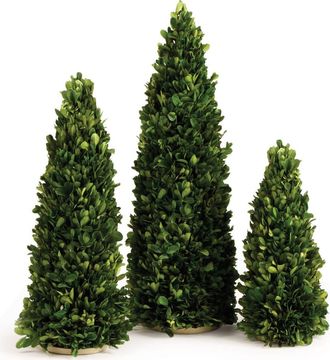 Napa Home & Garden Boxwood Mini Trees Set of 3 in Green at Nordstrom