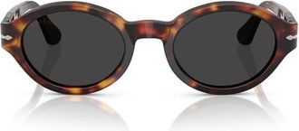 Persol Loris 51mm Polarized Oval Sunglasses in Havana/polar Dark Grey at Nordstrom