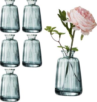 OEM Vase De Vidrio - 11 X 3 5 Cm - Para Flores Y Decoraci&oacute;n De Mesa - Pack De 6
