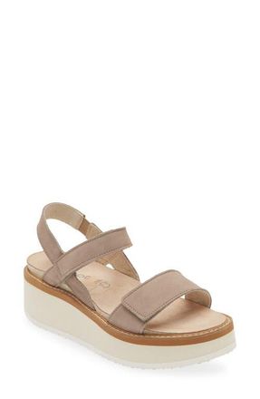 Naot Meringue Wedge Sandal in Stone Nubuck at Nordstrom, Size 10Us