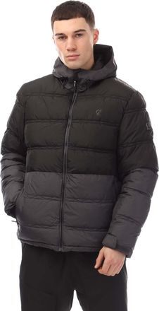 Dare 2B Heren Dare 2b Ollie Waterdichte Gewatteerde Ski jas in Zwart Grijs