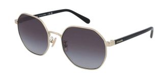 Coach Womens 56mm Shiny Light Gold Sunglasses