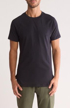 ASRV Established T-Shirt in Black at Nordstrom, Size X-Small