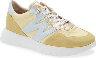 Wonders Lace-Up Platform Sneaker in Vanilla/Aura at Nordstrom, Size 5.5-6Us