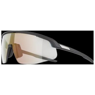Alpina Turbo Pro V Photchromic S1-3 Velobrille - Unisex | schwarz