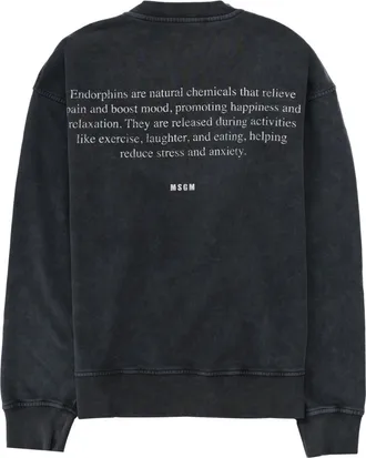 Msgm Print Cotton Sweatshirt - Charcoal