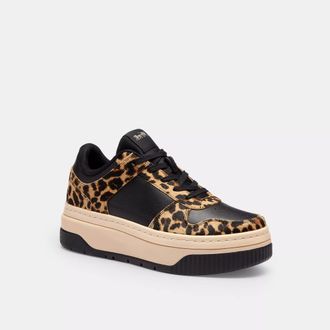 Coach Platform Sneaker With Leopard Print
