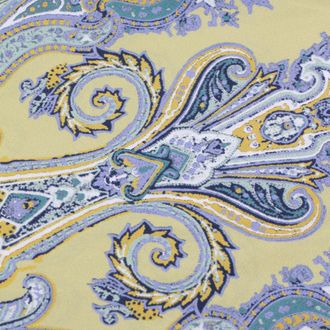 Etro Mens Scarfs _si