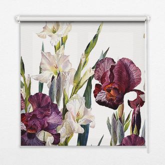 Tulup Tenda A Rullo Interna Per Finestra - Tenda Filtrante Luce - Tenda Privacy - Tenda Decorativa Rettangolare - Rullo Per Interni - (150 Cm X 140 Cm) - Pi