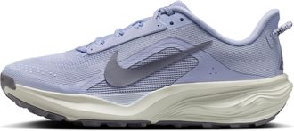 Nike Womens Nike ACG Pegasus Trail Trail Running Shoes in Grey | HV8121-003