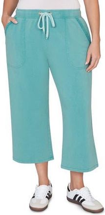 Ruby Rd. Crop French Terry Pants in Pacific at Nordstrom Rack, Size 1 X