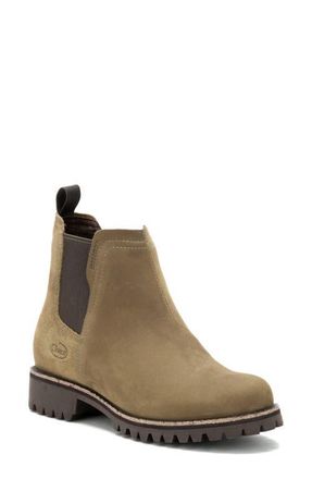 Chaco Fields Waterproof Chelsea Boot in Olive Bronze at Nordstrom, Size 10