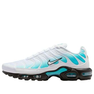 Nike Air Max Plus Dusty Cactus IU7539-345