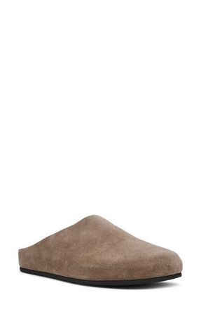 Steve Madden Fern Clog in Taupe Suede at Nordstrom, Size 9.5