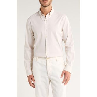 Nordstrom Stretch Cotton Button-Down Oxford Shirt in Beige White Eoe at Nordstrom, Size Large